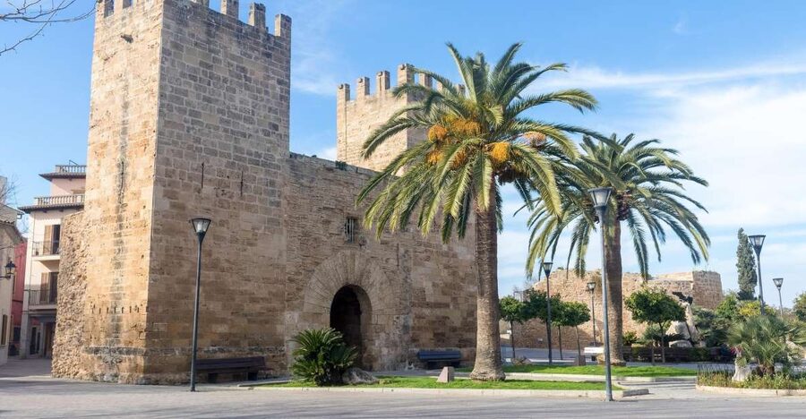 Cap de Formentor: Market, Beach, and Alcudia Tour - What to bring and how to make the day easier