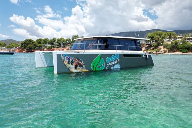 Catamaran Mallorca Eco Experience - Why Tortuga feels different from a standard boat trip