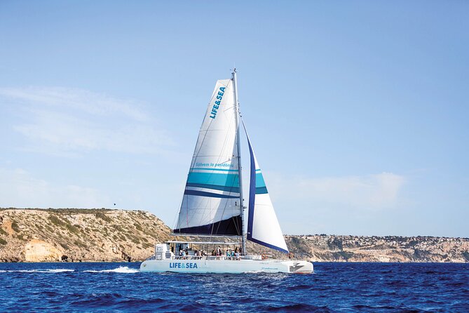 Catamaran with BBQ in the Bay of Palma - Key points to know before booking