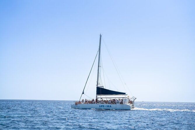 Catamaran with BBQ in the Bay of Palma - BBQ lunch, drinks, and the onboard mood