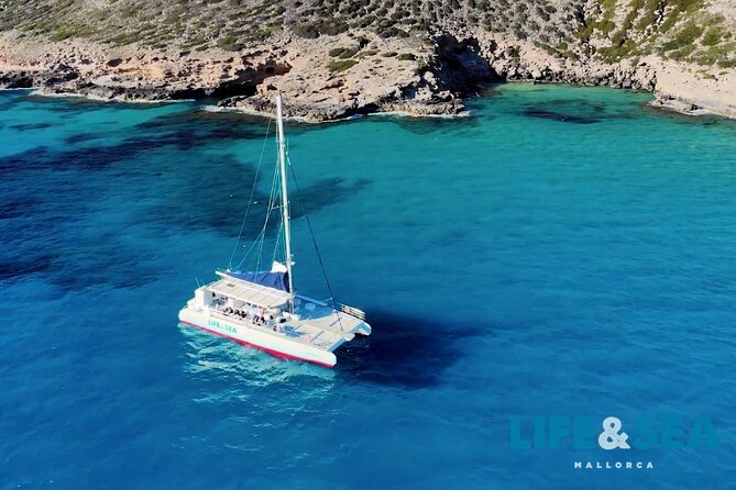 Catamaran with BBQ in the Bay of Palma - The first swim stop: clear water and easy access