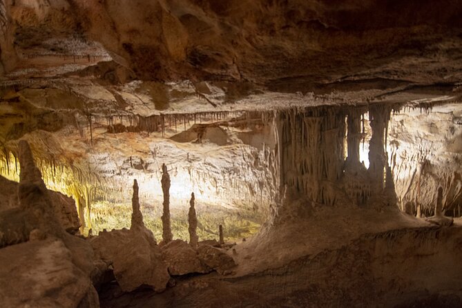Caves Drach Boat Trip from Alcudia with Return Bus and Tickets - How the tour compares with going independently