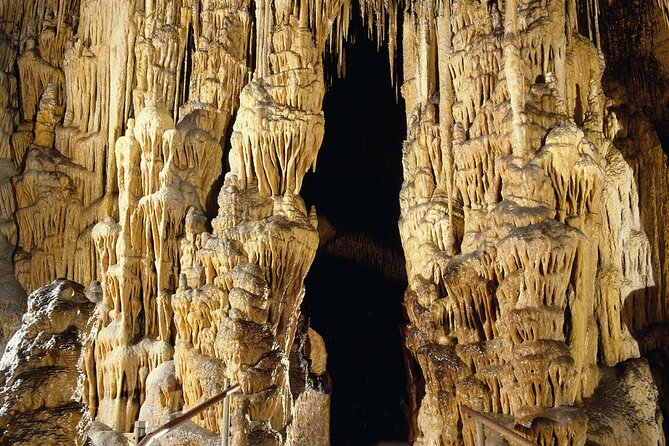 Caves Drach Tour & Return Transfer from Cala Dor-Calas Mallorca - Entering the caves without the ticket-office queue
