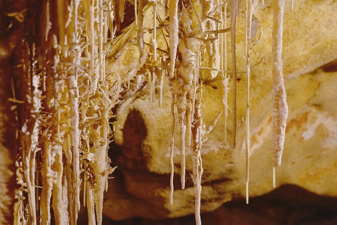 Caves Drach Tour & Return Transfer from Cala Dor-Calas Mallorca - Is $67.49 a fair price?
