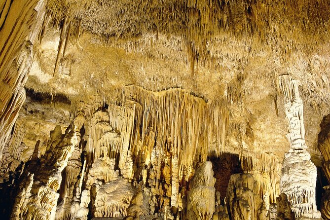 Caves Drach Tour & Return Transfer from Cala Dor-Calas Mallorca - Who will enjoy this tour most?