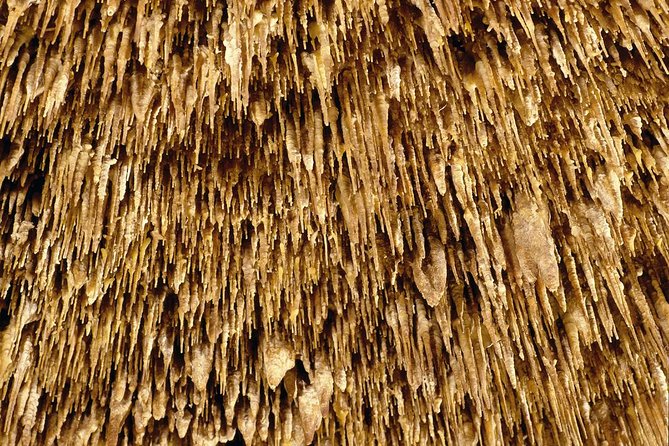 Caves of Drach Half-Day Tour with Boat Trip and Music Concert - Timing, group size, and organization