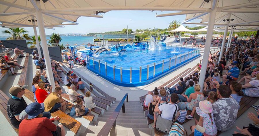Costa d'en Blanes: Entry Ticket for Marineland Mallorca - Key points to know before you go