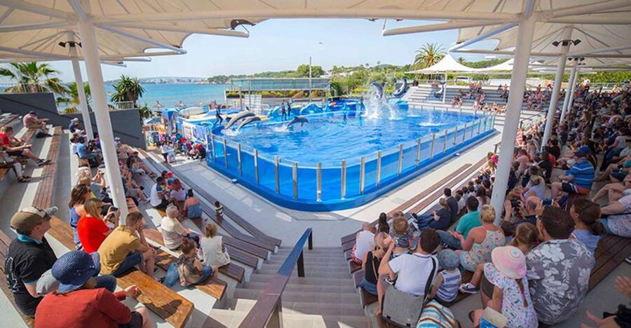 Costa d'en Blanes: Entry Ticket for Marineland Mallorca - Sea lions and exotic birds bring variety