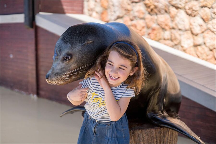 Costa d'en Blanes: Entry Ticket for Marineland Mallorca - The Tropical House and its rainforest creatures