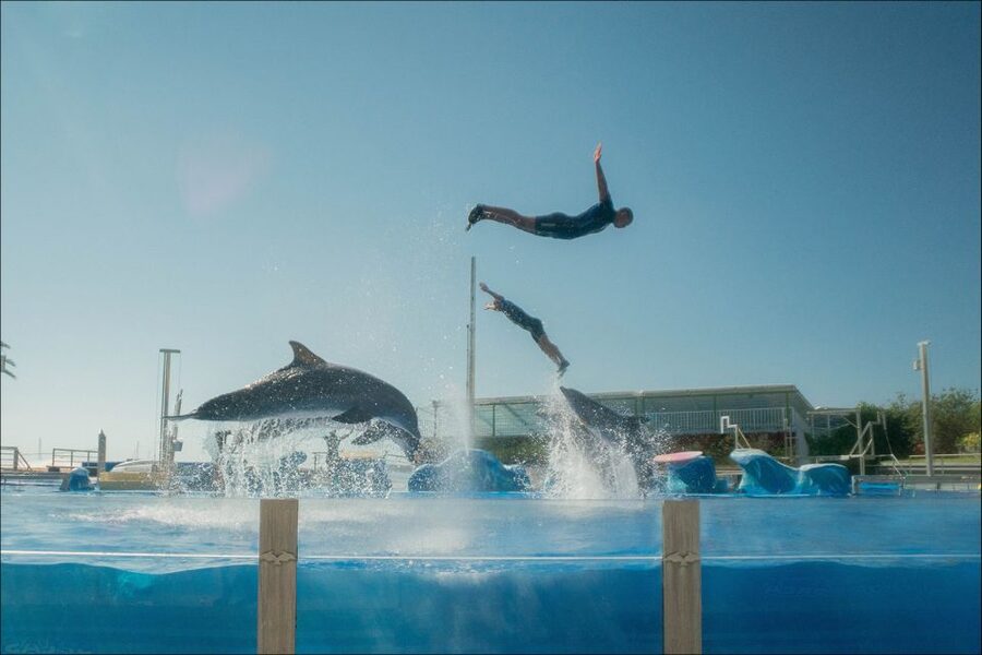 Costa d'en Blanes: Entry Ticket for Marineland Mallorca - A playground that helps family days work