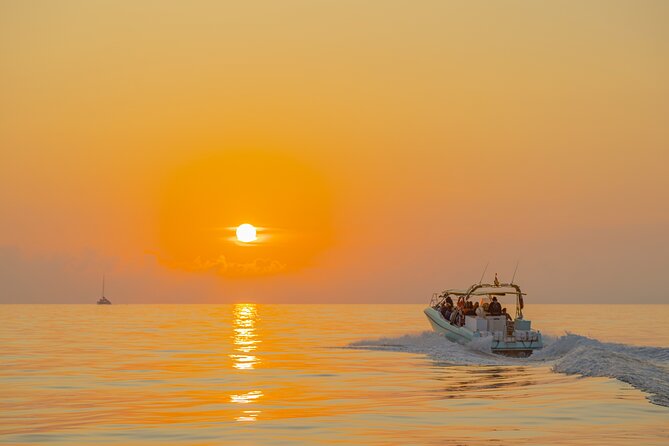 Dolphin watching by boat - The boat, group size, and comfort