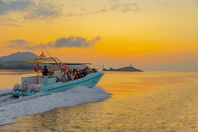 Dolphin watching by boat - Who will enjoy this trip most?