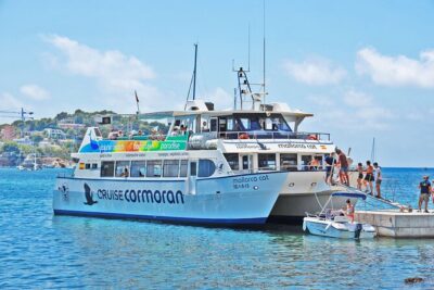 Dolphin Watching in Mallorca (Paguera)