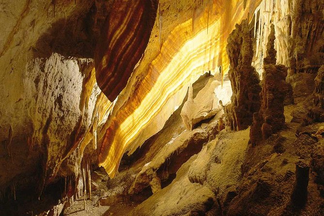 Drach Caves and Pearl Shop Mallorca Half Day Tour - The Drach Caves are the reason to go