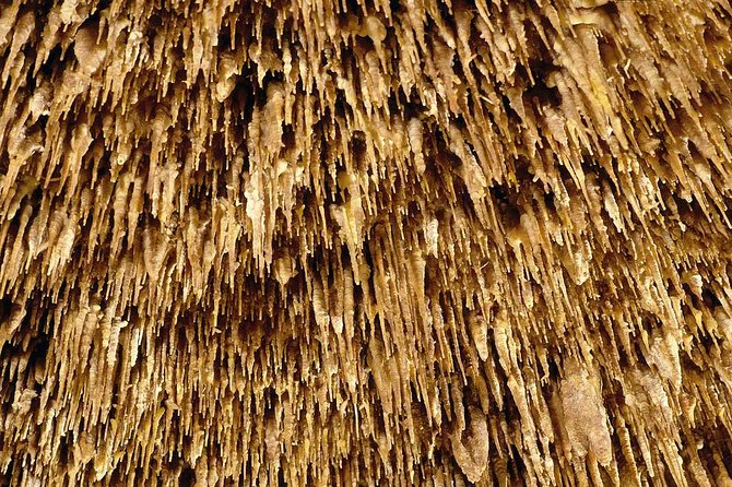 Drach Caves and Pearl Shop Mallorca Half Day Tour - The coach ride shapes the whole half-day