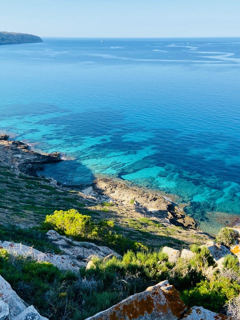 El Arenal: Private Mallorca Boat Rental (No License Needed) - The real cost and value