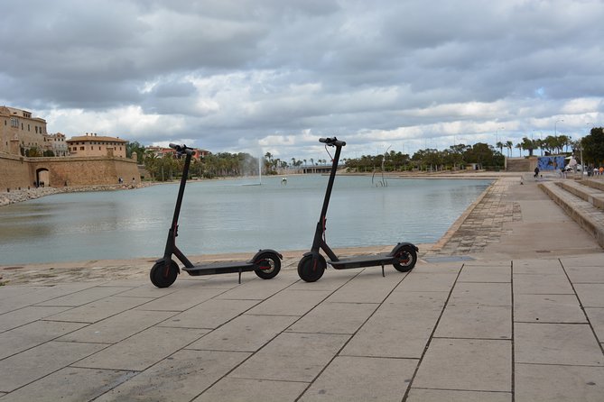 Electric kick scooter rental in Palma de Mallorca - Who will enjoy this rental most?