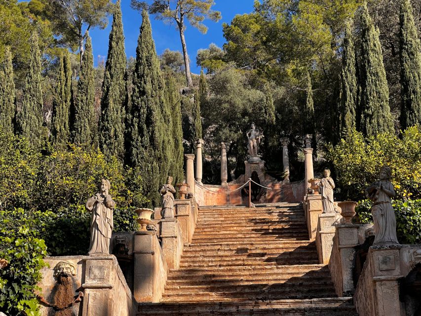 Embrace the enchantment of Mallorca's almond blossom season - Why the almond season changes Mallorca