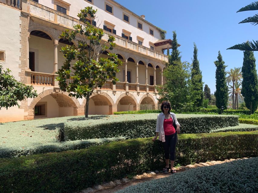 Embrace the enchantment of Mallorca's almond blossom season - Who should book this experience?