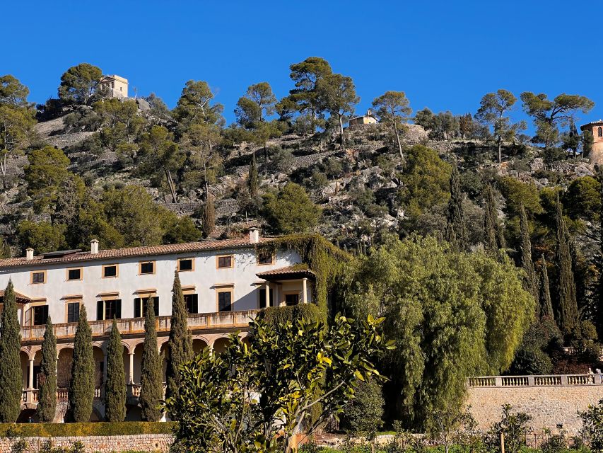 Embrace the enchantment of Mallorca's almond blossom season - A comfortable start from Palma