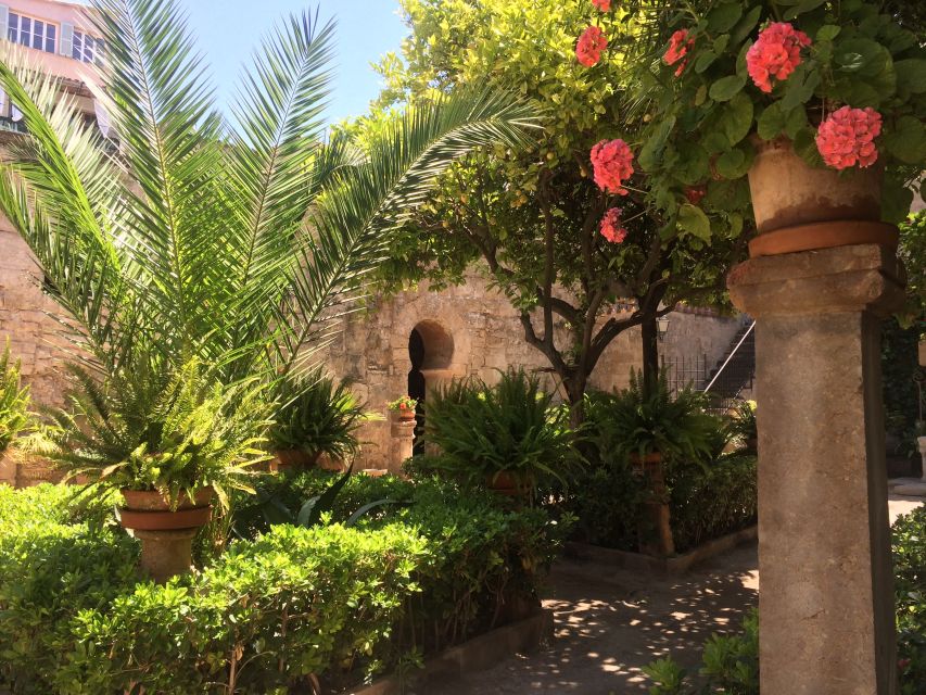 Embrace the enchantment of Mallorca's almond blossom season - Is this a good family outing?