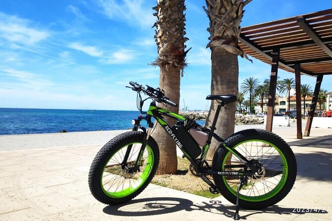 Exclusive Fat Tire E-Bike Tour in Palma - From Plaça de Cort to Passeig del Born