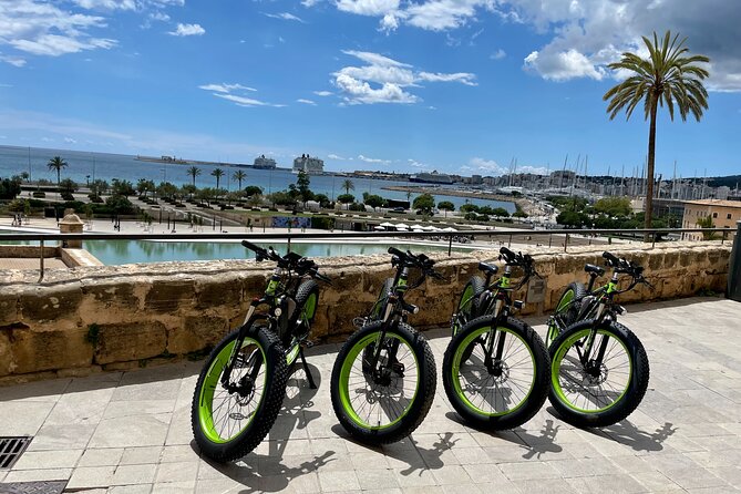 Exclusive Fat Tire E-Bike Tour in Palma - The guide can shape the whole experience