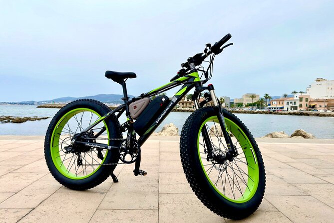 Exclusive Fat Tire E-Bike Tour in Palma - Price, timing, and who gets good value