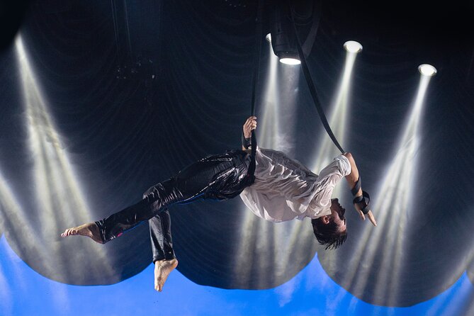 EXHIBIT - Acrobatics, Dance & Art - Who will enjoy EXHIBIT most