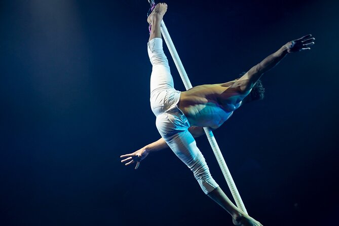 EXHIBIT - Acrobatics, Dance & Art - What the acrobatics and dance add