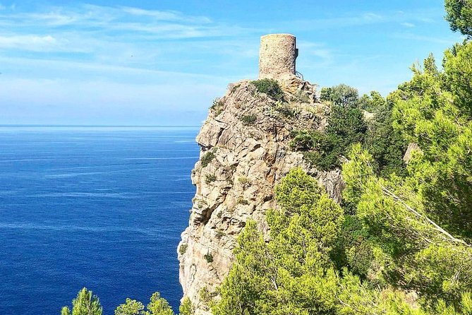Explore Mallorca in Your Own Formula One Car - Palma’s port adds a city-and-coast contrast
