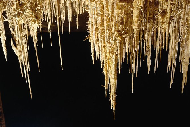Explore Mallorca: Majorica Pearl Shop and Caves of Drach - Timing: why the five-hour label needs caution