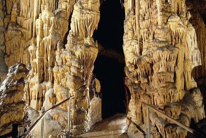 Explore Mallorca: Majorica Pearl Shop and Caves of Drach - Who will enjoy this Mallorca excursion most