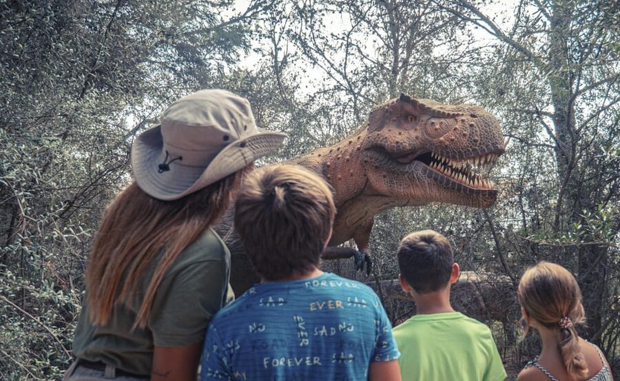 From Alcúdia: Dinosaurland and Hams' Caves Half-Day Trip - What the Guide Adds to the Experience