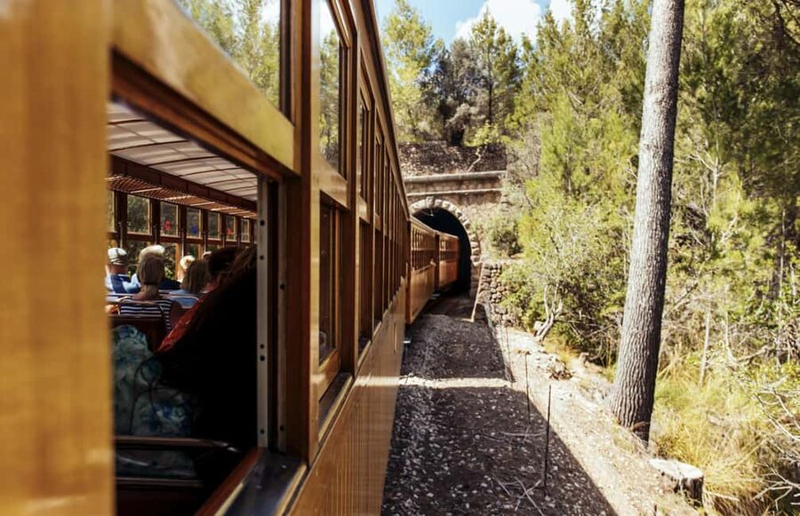 From Alcúdia: Soller Train and Tram Half Day Tour - Key points to know before booking