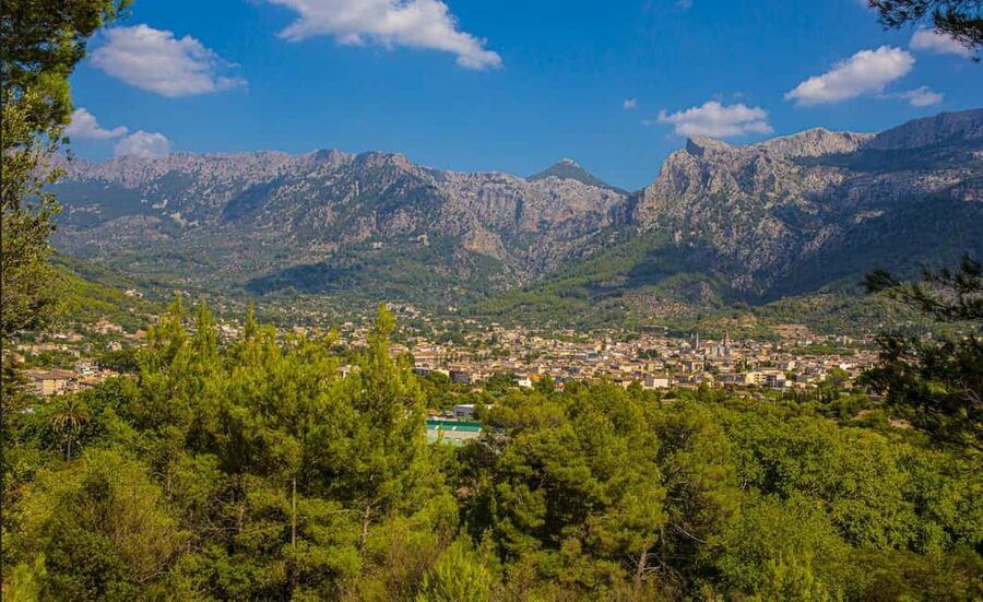From Alcúdia: Soller Train and Tram Half Day Tour - Who should book this Soller trip?