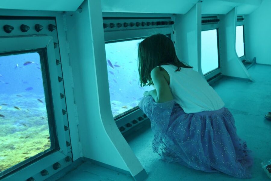 From Cala Bona: East Coast Glass-Bottom Boat Trip - Swimming stops, snorkeling, and weather