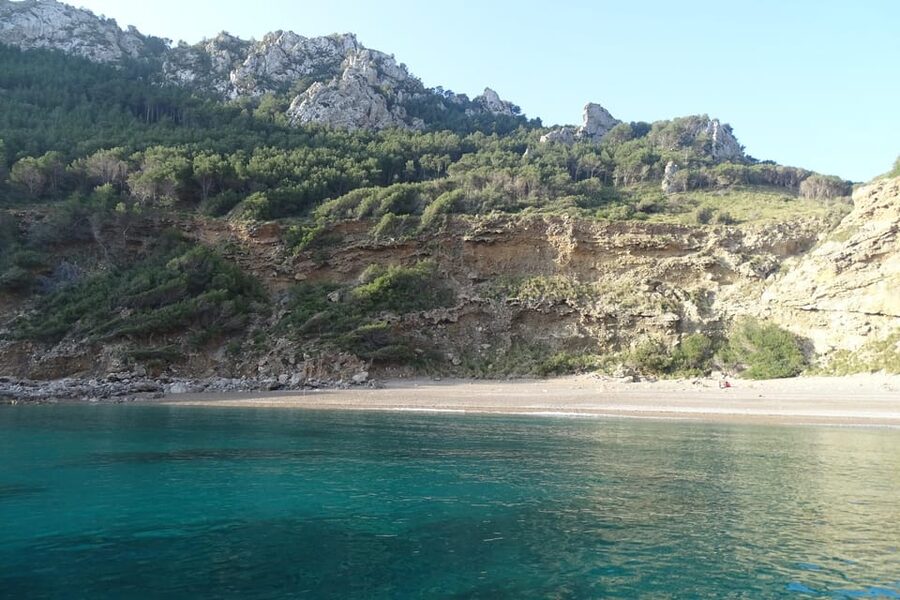 From Can Picafort: Dolphin Watching and Cave Boat Trip - Key points to know before you book