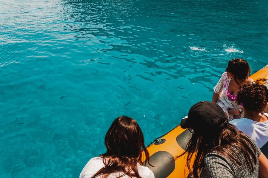 From Can Picafort: Dolphin Watching and Cave Boat Trip - A small boat with a very specific mission