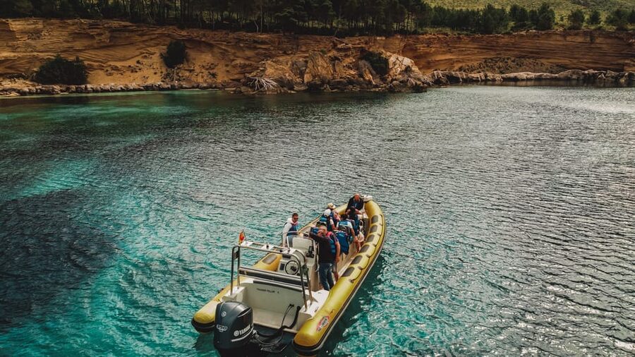 From Can Picafort: Dolphin Watching and Cave Boat Trip - Searching for dolphins near Cabo de Formentor