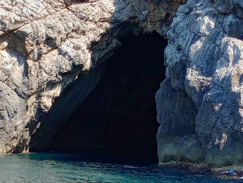 From Can Picafort: Dolphin Watching and Cave Boat Trip - Cap de Pinar and the coastal cave stop