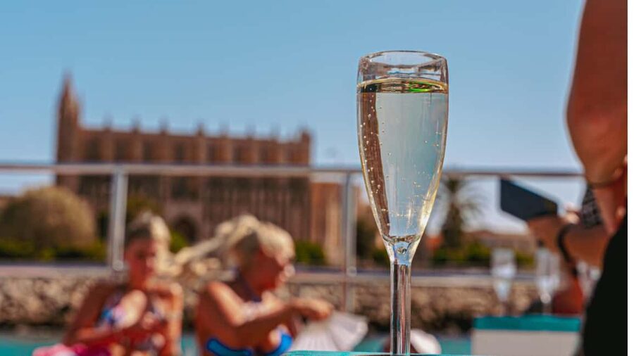 From Magaluf: Palma Bay Sightseeing Cruise with Live Music - Live saxophone without the party-boat noise