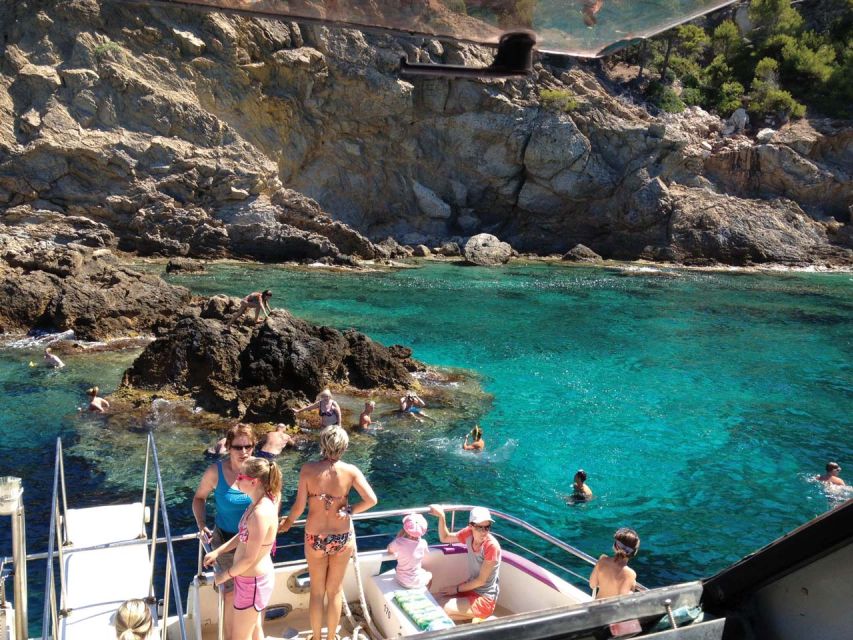 From Palma: 3-Hour Morning Dolphin Watching Boat Tour - Dolphins first, swimming second