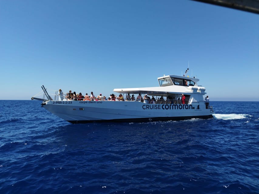 From Palma: 3-Hour Morning Dolphin Watching Boat Tour - What the three-hour morning looks like
