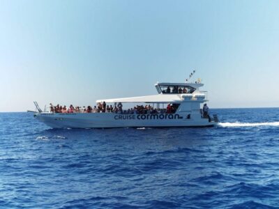 3-Hour Morning Dolphin Watching Boat Tour