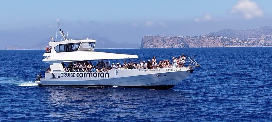 From Palma: Afternoon Dolphin-Watching Boat Tour - Key points to know before booking