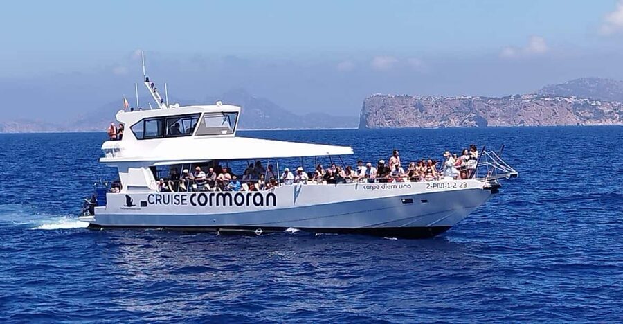 From Palma: Afternoon Dolphin-Watching Boat Tour - Dolphins first, but nature sets the timetable