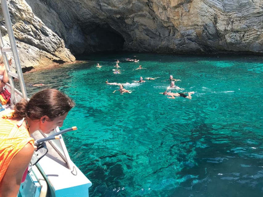 From Palma: Afternoon Dolphin-Watching Boat Tour - Watching dolphins from a moving speedboat