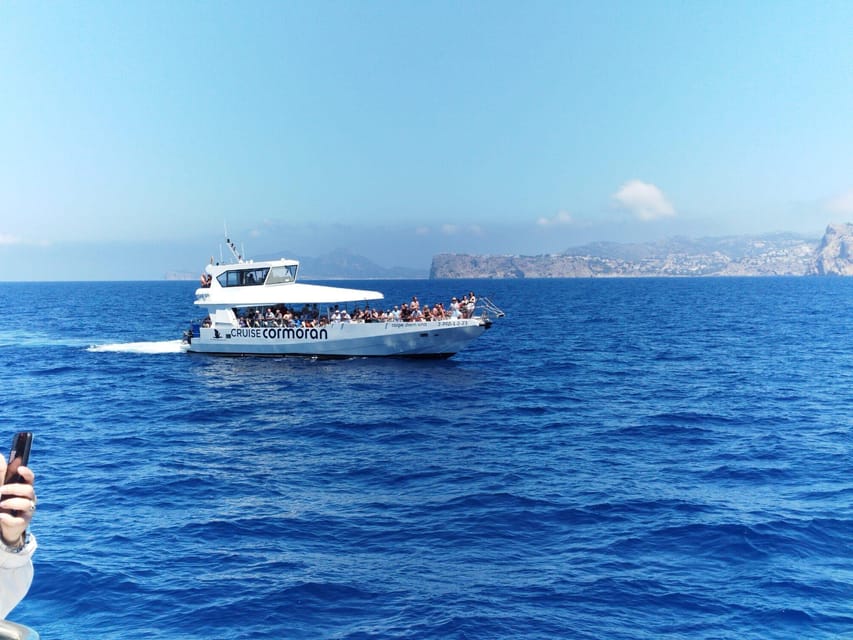 From Palma: Afternoon Dolphin-Watching Boat Tour - Who will enjoy this Palma boat trip?