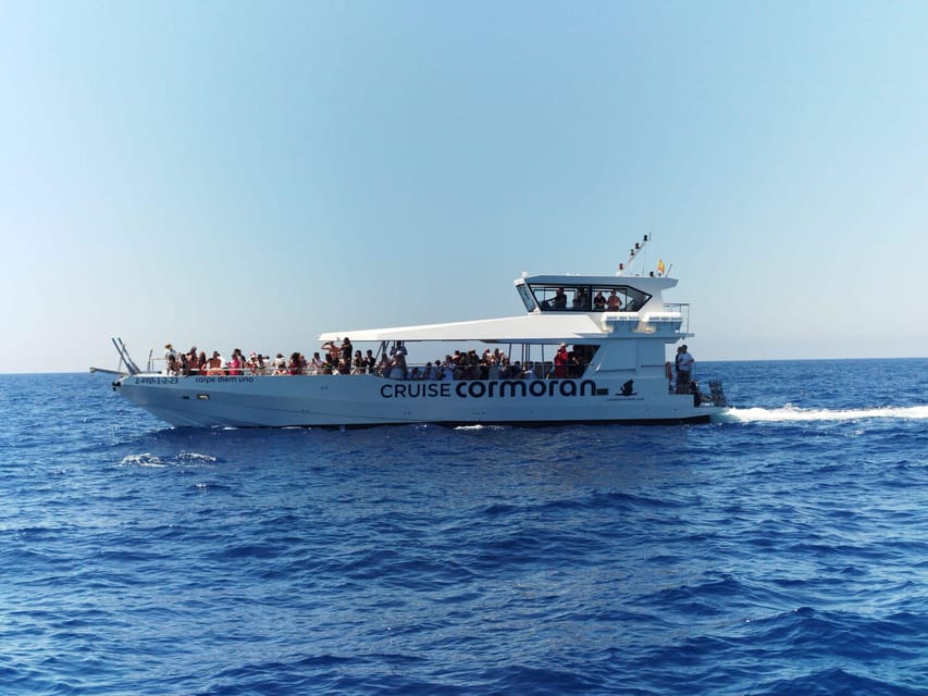 From Palma: Afternoon Dolphin-Watching Boat Tour - The Palma departure and the first stretch of water